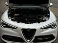 Alfa Romeo Stelvio 2.0 T AWD Q4 Veloce | Bianco Troffeo | Harman Kard Wit - thumbnail 47