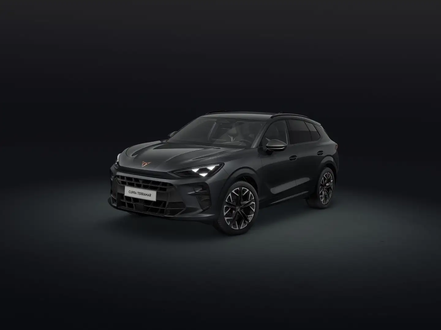 CUPRA Terramar Terramar 2.0 TSI 204 CV DSG 4Drive Impulse - 1