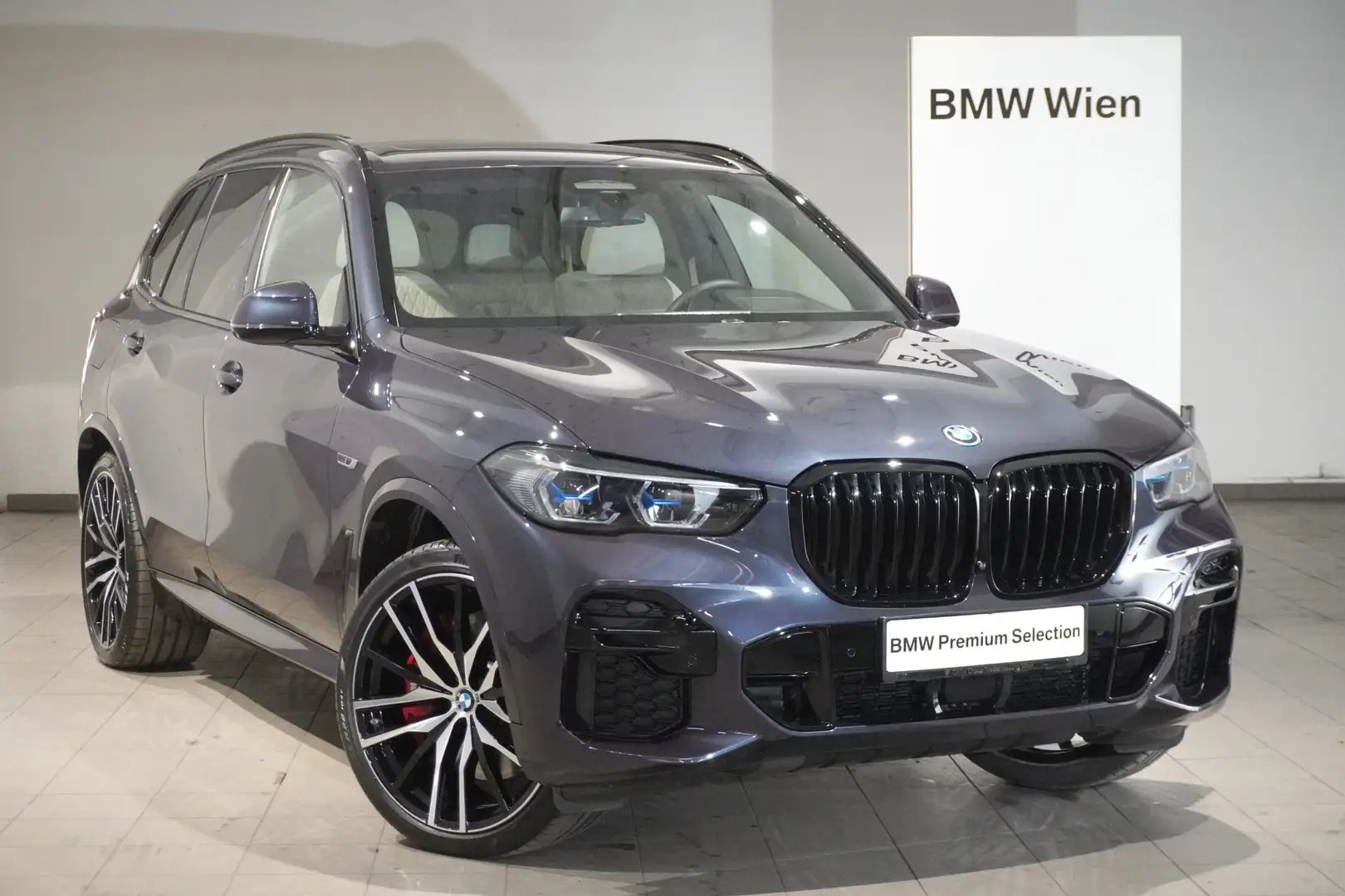 BMW X5 xDrive45e Blau - 1