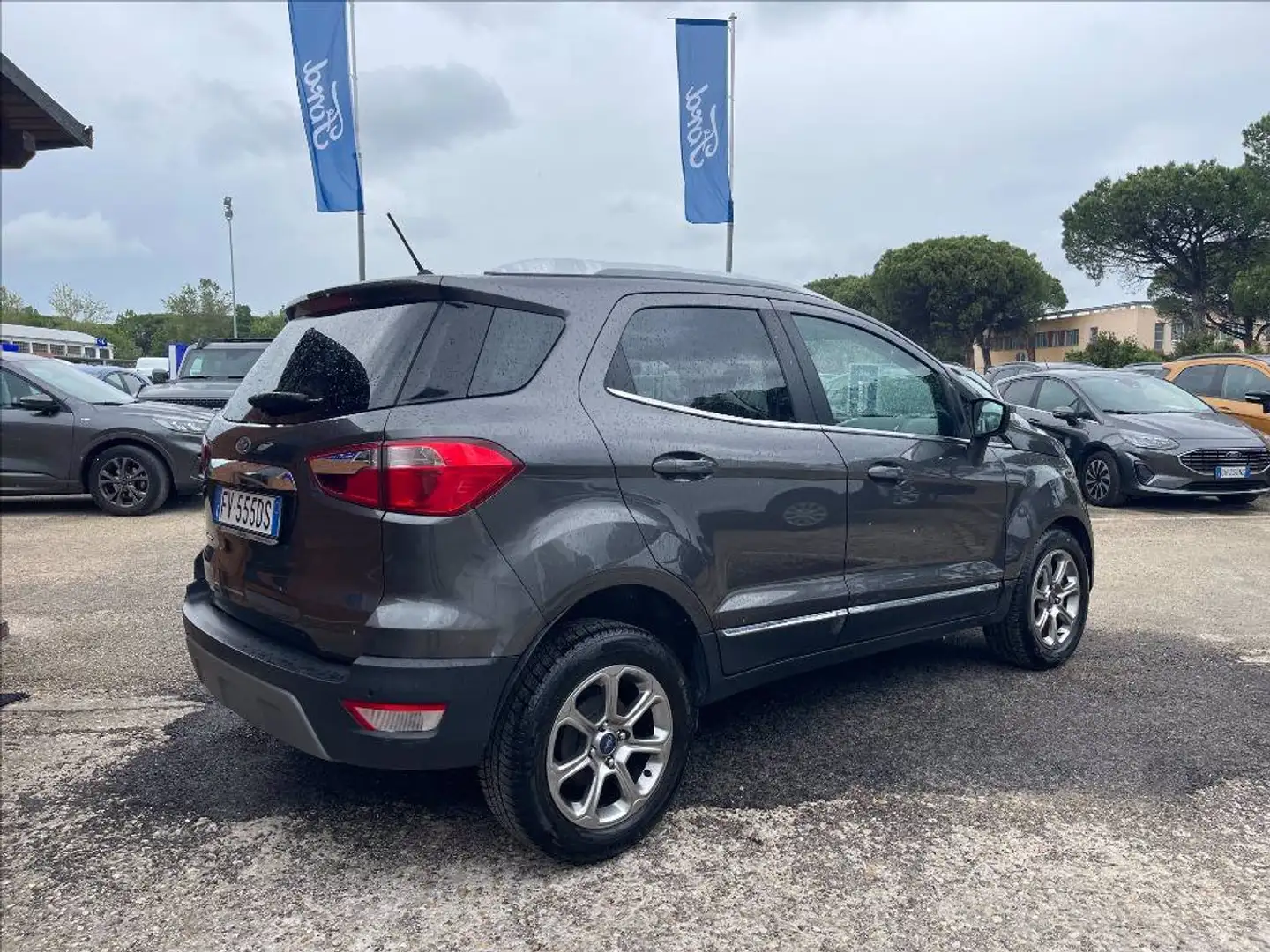 Ford EcoSport 1.5 ecoblue Titanium s&s 100cv my19 Grigio - 2