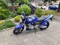 Honda Hornet CB600 uit 2001 Blauw - thumbnail 1