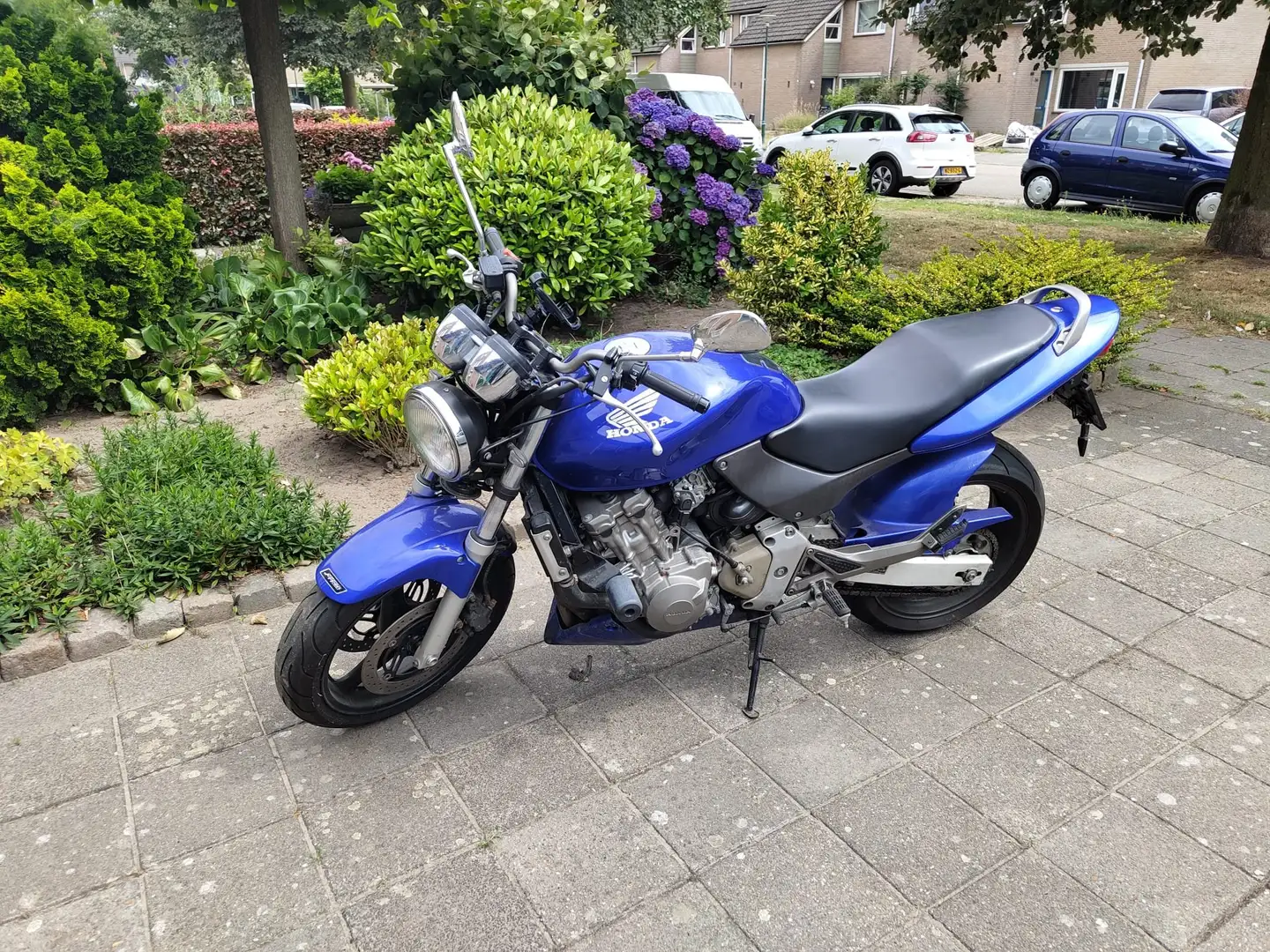 Honda Hornet CB600 uit 2001 Blauw - 1