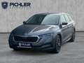Skoda Octavia 4x4 Style TDI DSG Grau - thumbnail 1