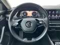 Skoda Octavia 4x4 Style TDI DSG Grau - thumbnail 10