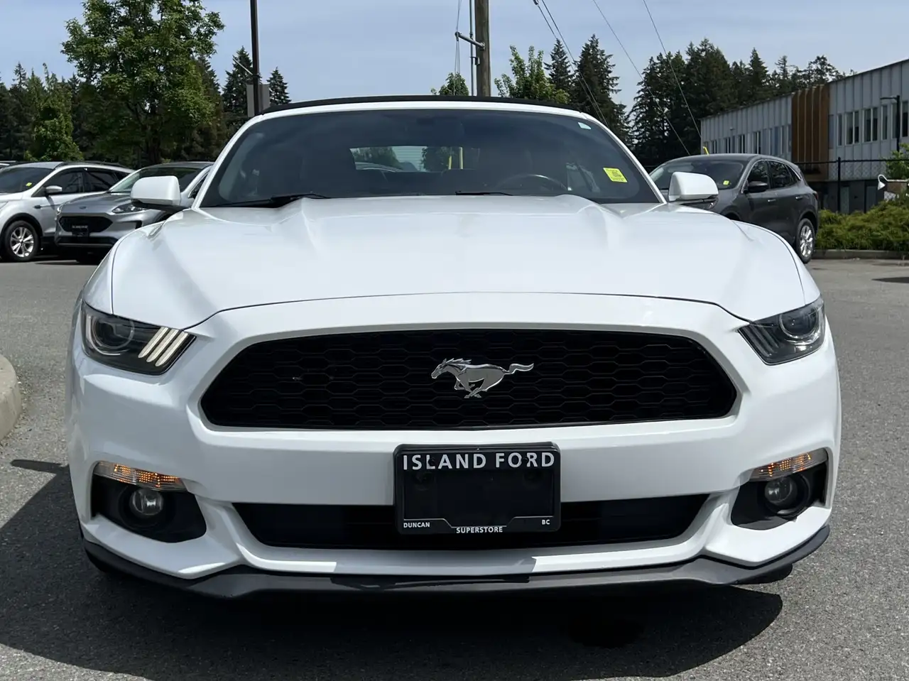 Ford Mustang снимка Ford Mustang