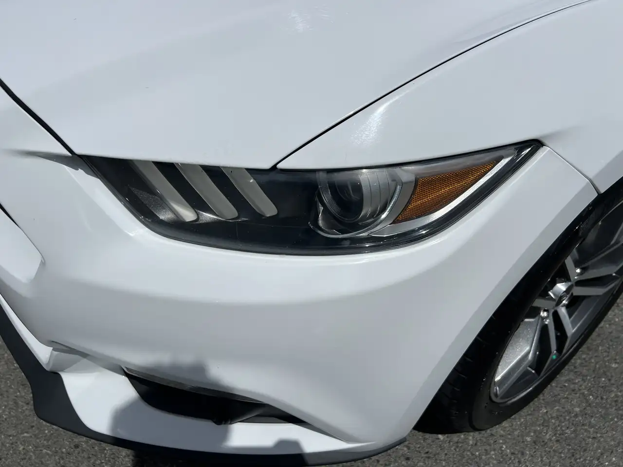 Ford Mustang снимка Ford Mustang
