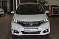 Honda Jazz 1.3 i-VTEC CVT Trend White - thumbnail 14