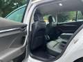 Skoda Octavia Combi Style*CNG*LEDER*LED*VIRT*KAM*TEMPO* Weiß - thumbnail 22