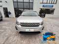 Land Rover Discovery Sport 2.0 TD4 150 CV Auto Business Edition Pure Argent - thumbnail 8