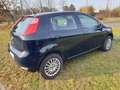 Fiat Punto Punto 2015 5p 1.4 natural power 70cv Euro 6 Albastru - thumbnail 2
