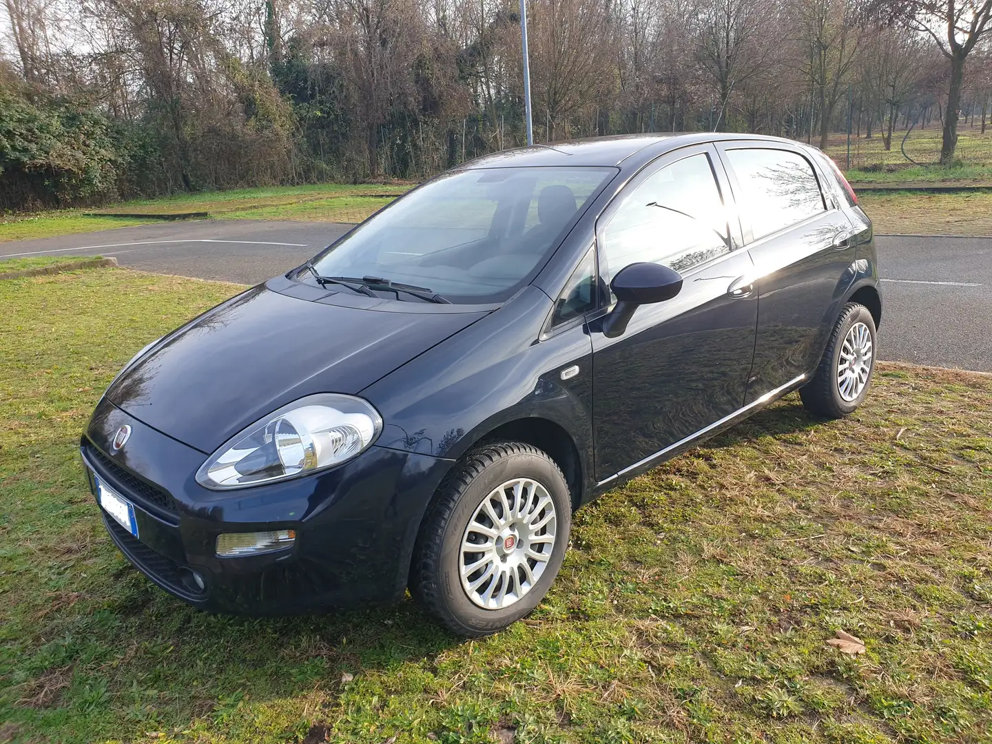 Fiat Punto Punto 2015 5p 1.4 natural power 70cv Euro 6 Albastru - 1