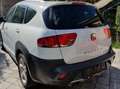 SEAT Altea XL Diesel 4x4 Pickerl Neu Service 8fach Zahnriemen Weiß - thumbnail 3
