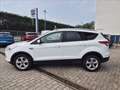 Ford Kuga 2.0 tdci Titanium 2wd 140cv Bianco - thumbnail 2