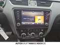 Skoda Octavia Combi 1.0 TSI DSG Clever NAVI Stdhzg Klima Beige - thumbnail 12