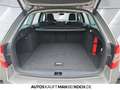Skoda Octavia Combi 1.0 TSI DSG Clever NAVI Stdhzg Klima Beige - thumbnail 14