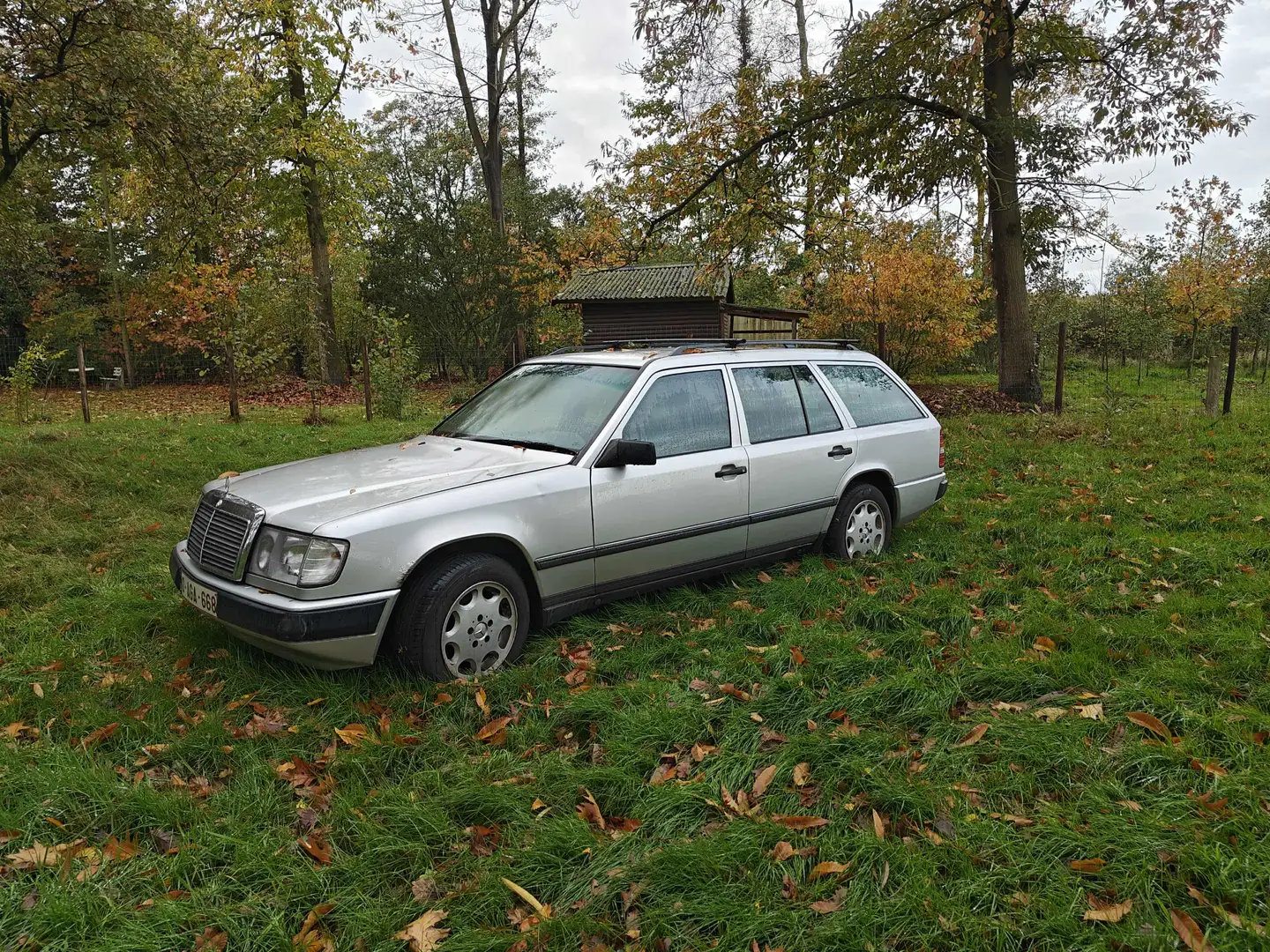Mercedes-Benz 230 te Zilver - 1