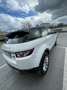 Land Rover Range Rover Evoque 2.2 150cv MOTORE FORD - thumbnail 5
