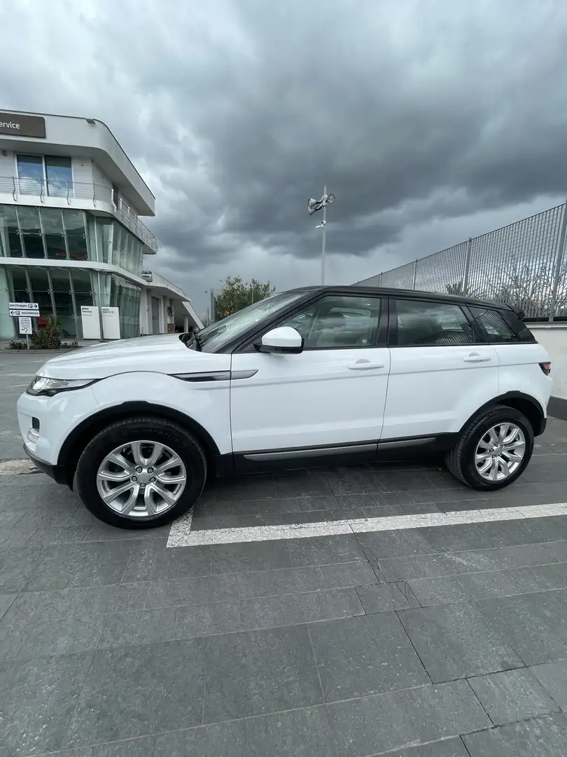 Land Rover Range Rover Evoque 2.2 150cv MOTORE FORD - 1