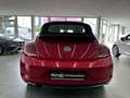 Volkswagen Beetle 1.2 TSI Cabriolet Sound*Navi*Bi-Xenon* Roşu - thumbnail 5