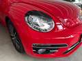 Volkswagen Beetle 1.2 TSI Cabriolet Sound*Navi*Bi-Xenon* Roşu - thumbnail 28
