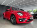 Volkswagen Beetle 1.2 TSI Cabriolet Sound*Navi*Bi-Xenon* Roşu - thumbnail 27