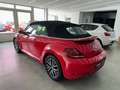 Volkswagen Beetle 1.2 TSI Cabriolet Sound*Navi*Bi-Xenon* Roşu - thumbnail 4