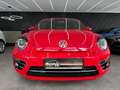 Volkswagen Beetle 1.2 TSI Cabriolet Sound*Navi*Bi-Xenon* Roşu - thumbnail 2