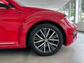 Volkswagen Beetle 1.2 TSI Cabriolet Sound*Navi*Bi-Xenon* Roşu - thumbnail 29