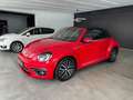 Volkswagen Beetle 1.2 TSI Cabriolet Sound*Navi*Bi-Xenon* Roşu - thumbnail 3