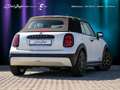 MINI Cooper S Cabrio Favoured Paket XL ACC NaviAR H&K Weiß - thumbnail 3