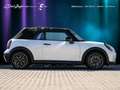 MINI Cooper S Cabrio Favoured Paket XL ACC NaviAR H&K Weiß - thumbnail 2