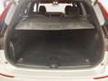 Volvo XC60 XC60 B4 B Plus Dark Weiß - thumbnail 6