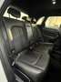 Audi RS Q3 RS Q3 quattro S tronic Blanc - thumbnail 13