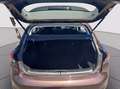 Fiat Tipo 5p 1.6 mjt Lounge s&s 120cv Marrone - thumbnail 15