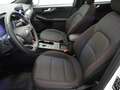 Ford Kuga 2,0 EcoBlue ST-Line Aut. *NAVI, VIRTUAL, KEYLESS* Weiß - thumbnail 7