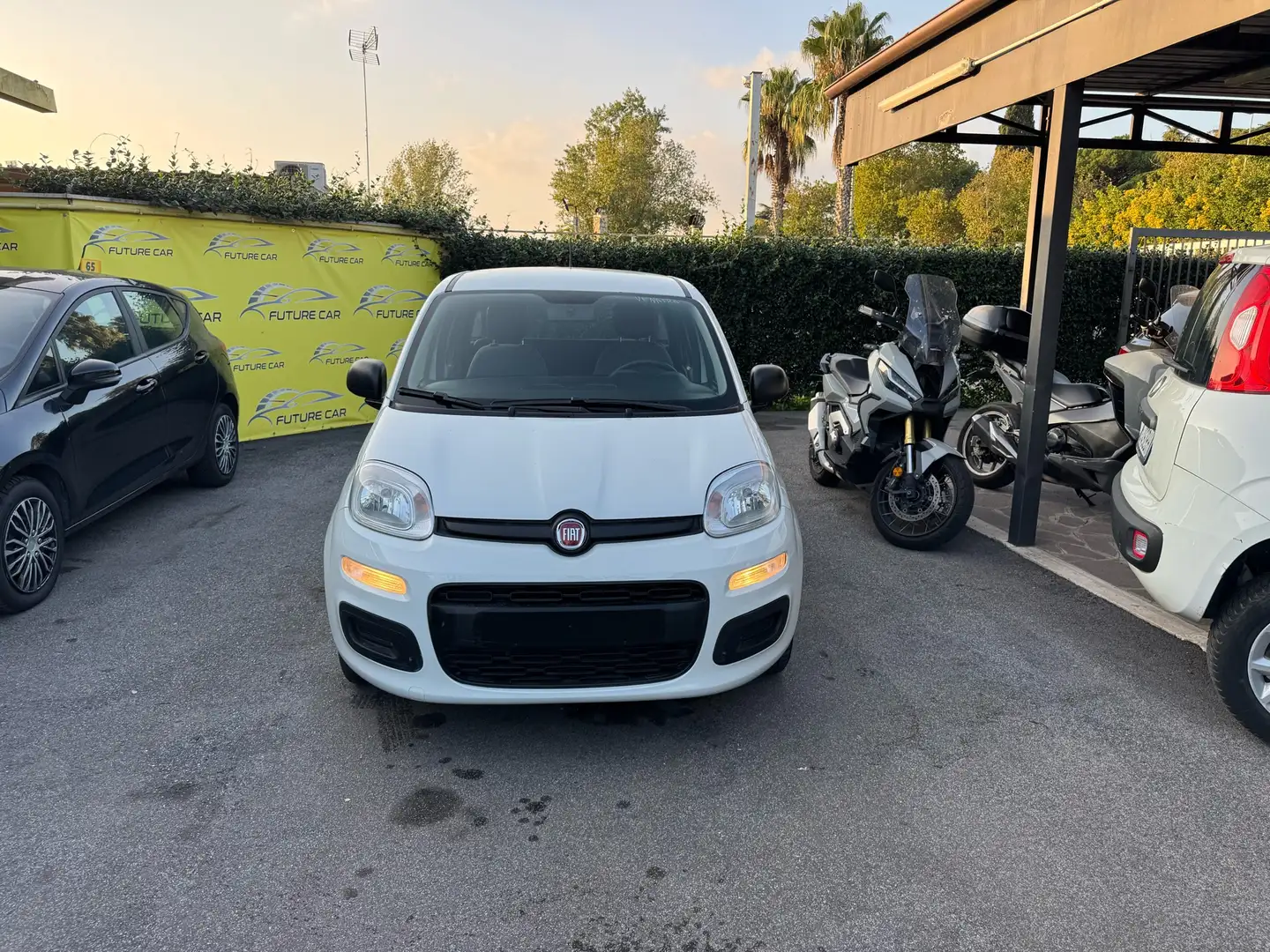 Fiat Panda 1.2 easypower Easy Gpl 69cv E6 - 1