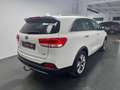 Kia Sorento Platinum Edition 4WD 2.2+360°+PANO+XENON Weiß - thumbnail 4
