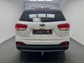 Kia Sorento Platinum Edition 4WD 2.2+360°+PANO+XENON Weiß - thumbnail 5