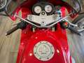 Moto Guzzi 1000 Daytona Rojo - thumbnail 3
