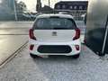 Kia Picanto Picanto 1.0 Bluetooth/ Radio/ Sensoren/ Airco Blanc - thumbnail 4