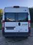 Fiat Ducato CNG Gas 9 Sitzer Weiß - thumbnail 7