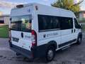 Fiat Ducato CNG Gas 9 Sitzer Weiß - thumbnail 6