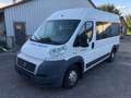 Fiat Ducato CNG Gas 9 Sitzer Weiß - thumbnail 2