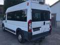 Fiat Ducato CNG Gas 9 Sitzer Weiß - thumbnail 8