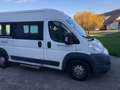 Fiat Ducato CNG Gas 9 Sitzer Weiß - thumbnail 4