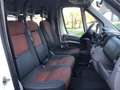 Fiat Ducato CNG Gas 9 Sitzer Weiß - thumbnail 12
