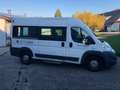 Fiat Ducato CNG Gas 9 Sitzer Weiß - thumbnail 5