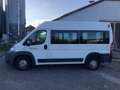 Fiat Ducato CNG Gas 9 Sitzer Weiß - thumbnail 1