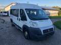 Fiat Ducato CNG Gas 9 Sitzer Weiß - thumbnail 3