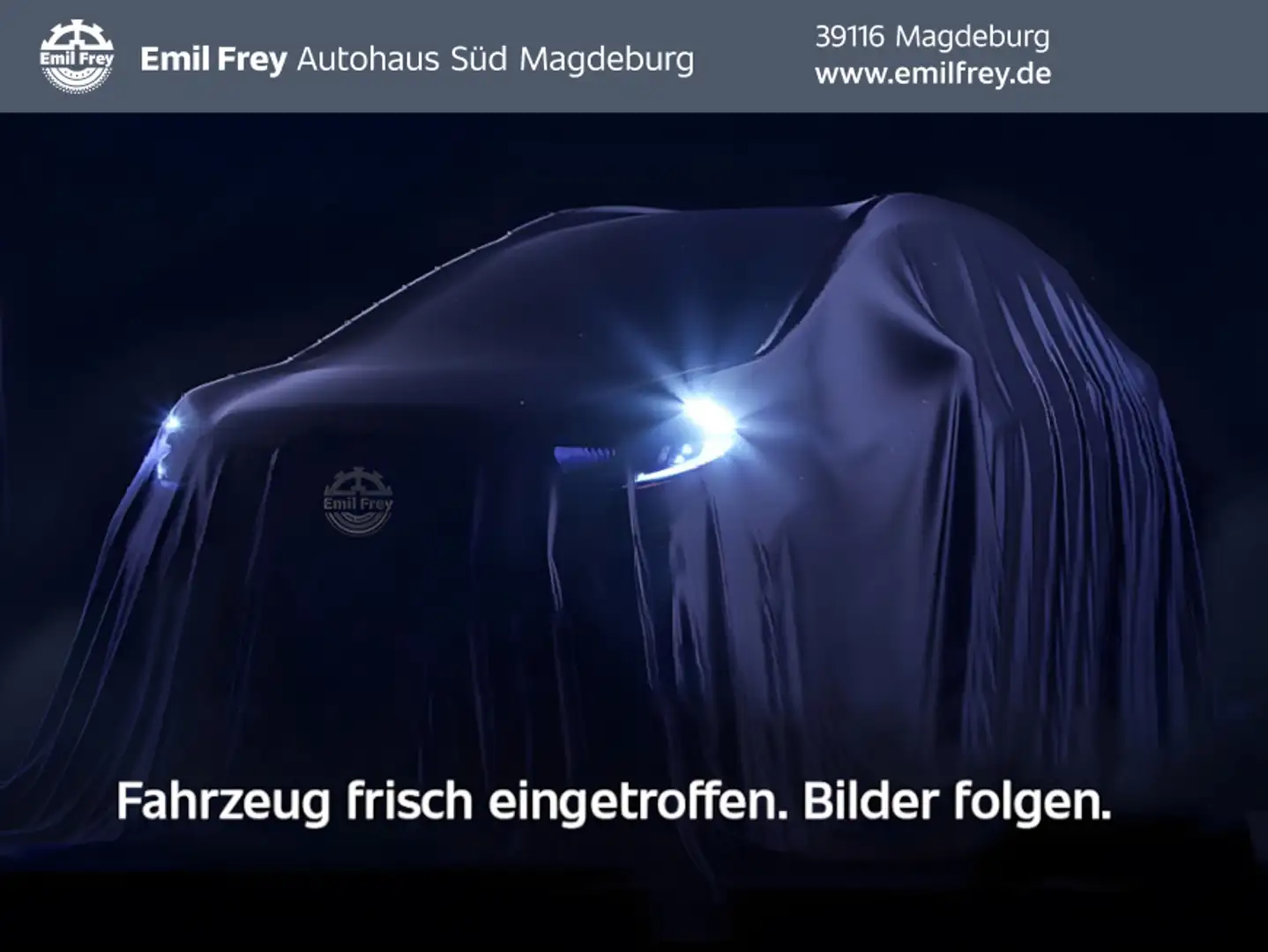 Ford Focus 2.3 EcoBoost S&S Allrad RS Blauw - 1